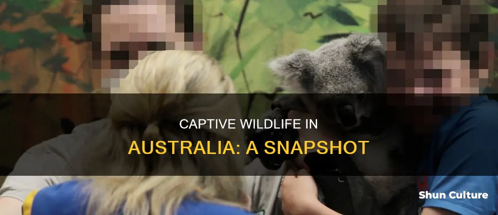 how many animals are in captivity in australia