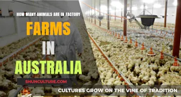 Factory Farmed Animals in Australia: Counting the Numbers