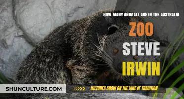 Australia Zoo's Amazing Wildlife Legacy
