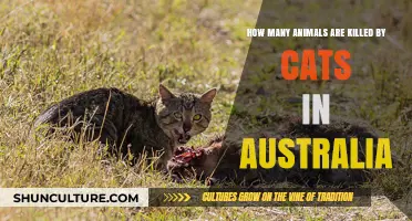 Deadly Cats: Australia's Wildlife Killers