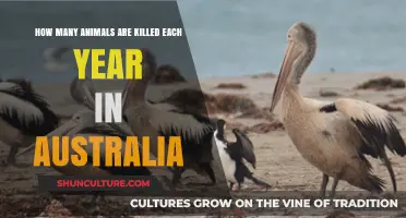 Australia's Annual Animal Toll: Shocking Figures and Their Impact