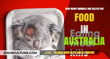 Australia's Animal Agriculture: Killing Millions