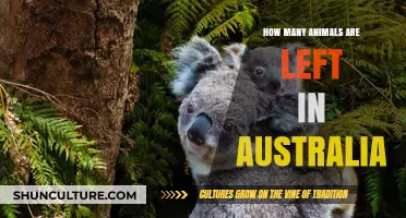 Animals Left in Australia: The Remaining Count