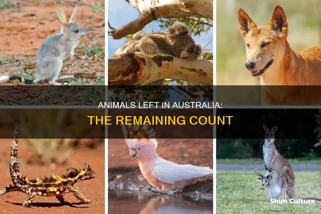 how many animals are left in australia