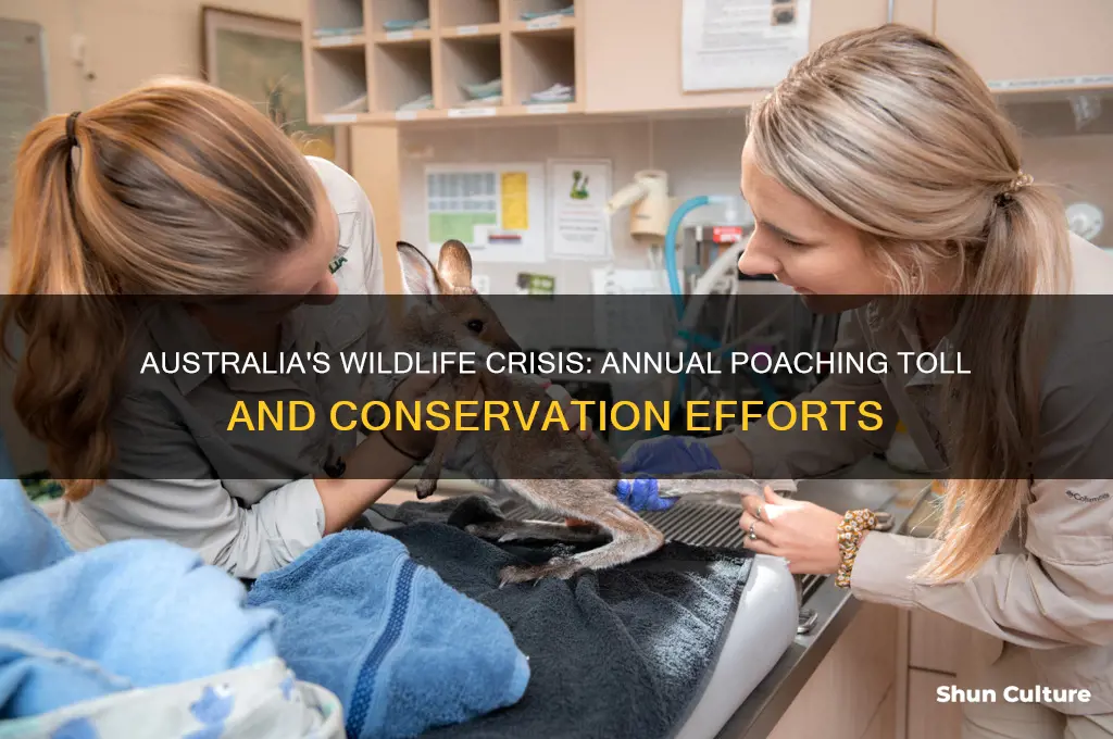 how many animals are poached each year in australia