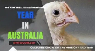 Australia's Annual Slaughter: Shocking Numbers of Animals Killed Yearly