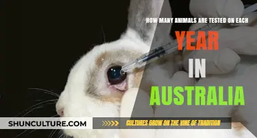 Animal Testing in Australia: Annual Statistics and Ethical Concerns