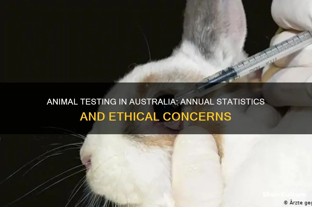 how many animals are tested on each year in australia