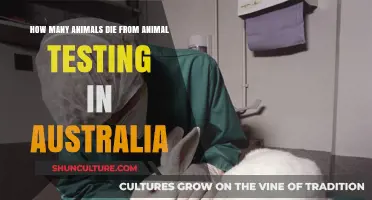 Animal Testing: Australia's Dark Secret