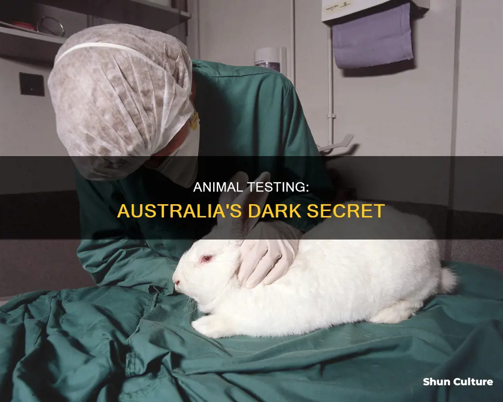 how many animals die from animal testing in australia