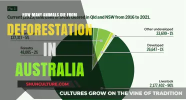 Deforestation's Impact: Australia's Wildlife Death Toll
