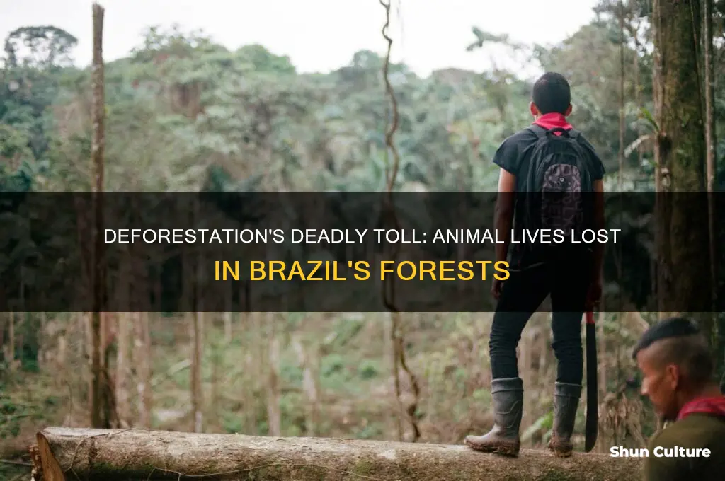 how many animals die from deforestation in brazil