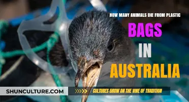 Plastic Bags: Australia's Deadly Threat to Wildlife
