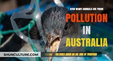 Pollution's Deadly Impact on Australia's Wildlife