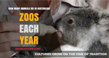 Annual Animal Deaths in Australian Zoos: Unveiling the Hidden Toll