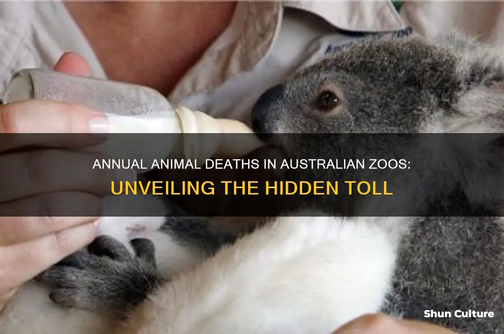 how many animals die in australian zoos each year