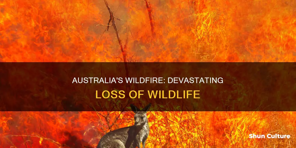 how many animals died in australia wildfire