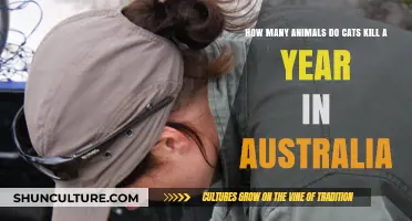Australia's Cat Predation Crisis: Annual Animal Kill Count Revealed