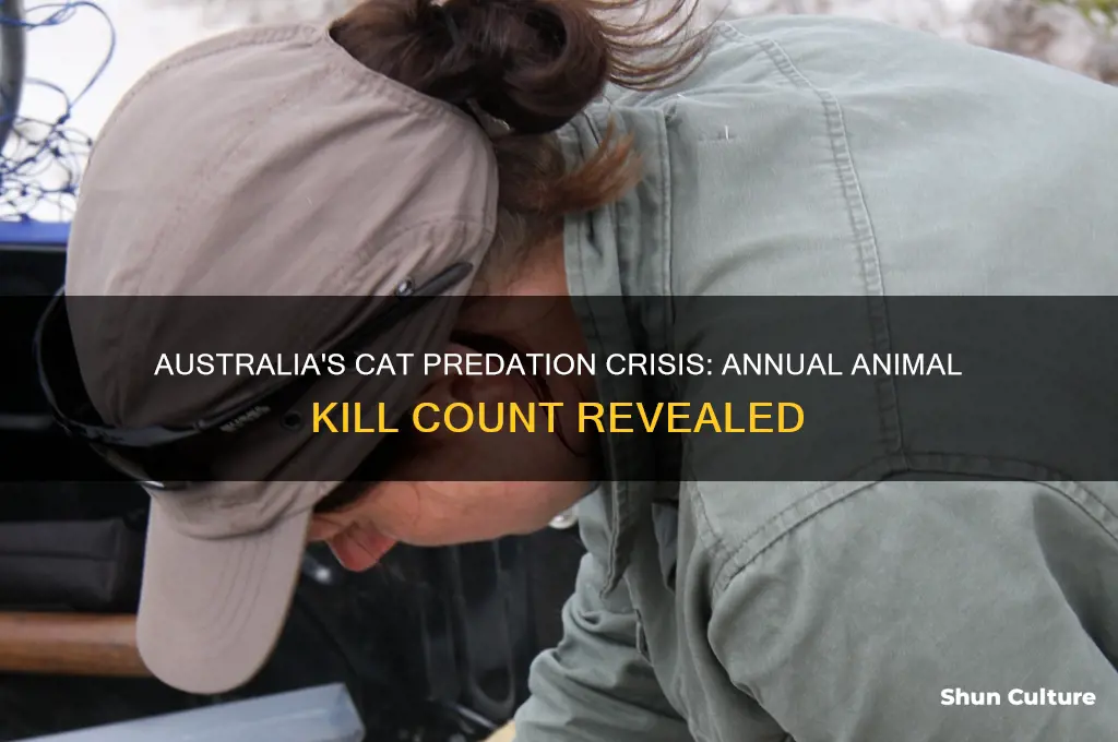 how many animals do cats kill a year in australia