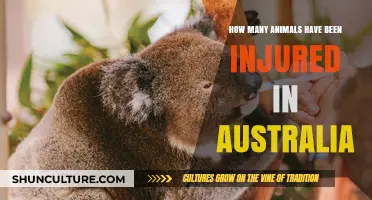 Injured Wildlife in Australia: Counting the Cost