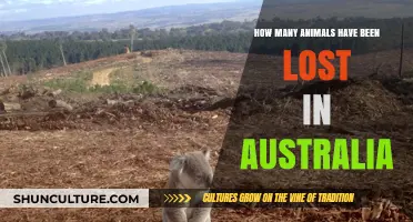 Devastating Loss: Australia's Wildlife Crisis
