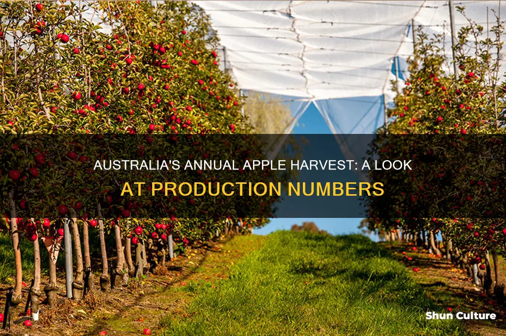 how many apples are grown in australia each year