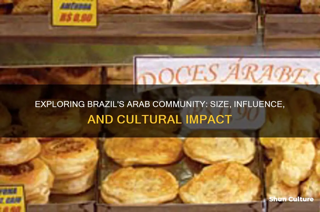 how many arab in brazil