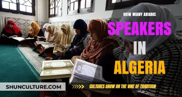 Arabic Speakers in Algeria: Population Insights and Cultural Significance