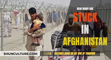 Left Behind: The Plight of Those Stranded in Afghanistan