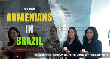 Armenian Presence in Brazil: Exploring the Community's Size and Impact