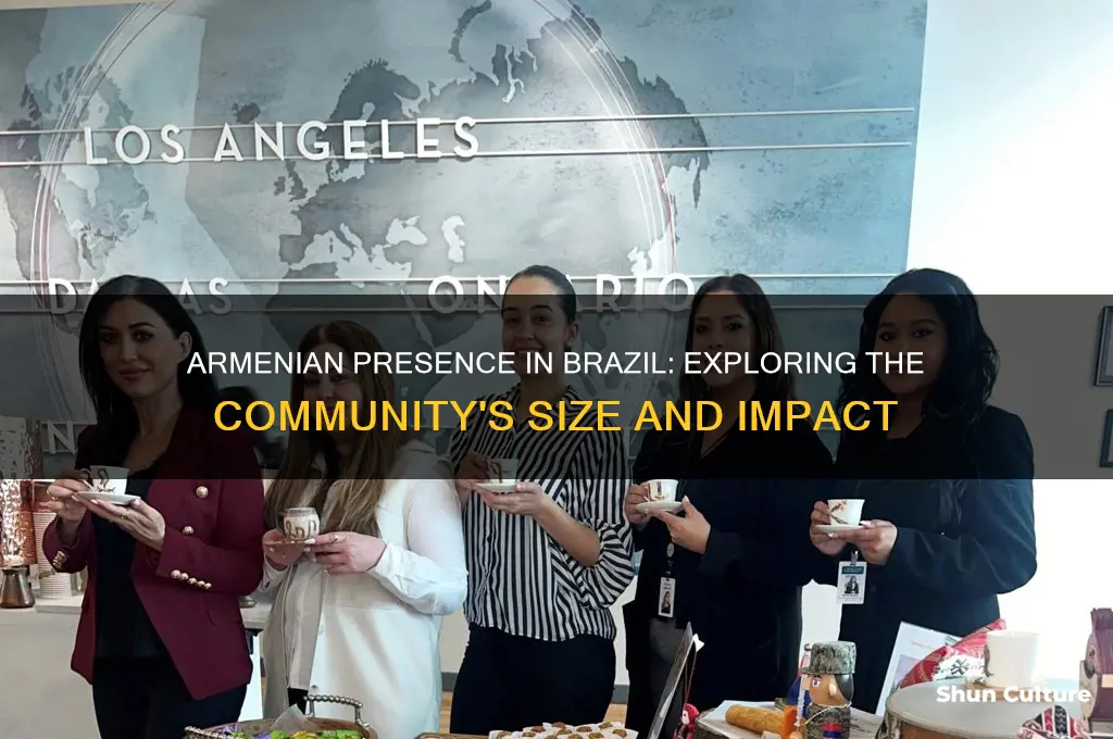 how many armenians in brazil
