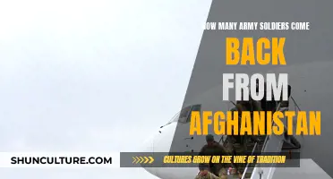 The Homecoming: Examining the Return of U.S. Troops from Afghanistan