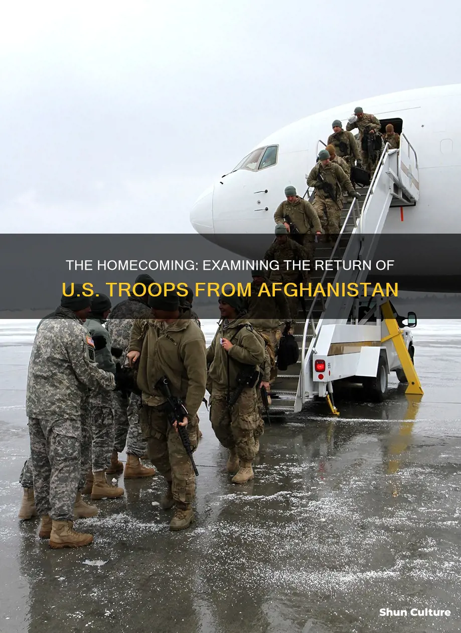 how many army soldiers come back from afghanistan