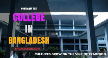 Exploring Bangladesh's Art Colleges: A Comprehensive Guide to Creative Education