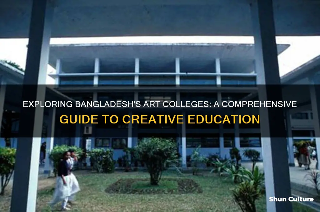 how many art college in bangladesh