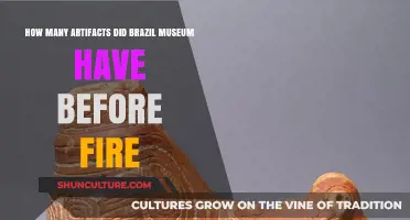 Brazil's National Museum: A Look at Its Pre-Fire Artifact Collection
