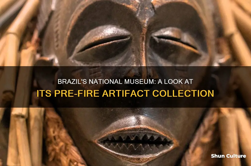 how many artifacts did brazil museum have before fire