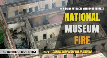 Brazil National Museum Fire: The Devastating Loss of Countless Artifacts