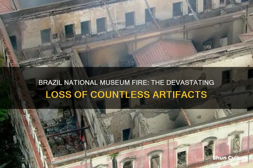 how many artifacts were lost in brazil national museum fire