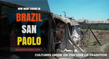 Asian Population in Brazil: Exploring São Paulo's Cultural Diversity