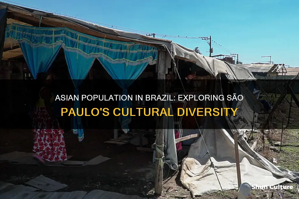 how many asians in brazil san paolo