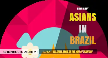 Exploring Brazil's Asian Population: A Look at Demographics and Culture