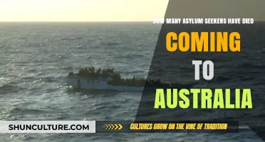 Deadly Journeys: Asylum Seekers' Tragic Quest for Australia