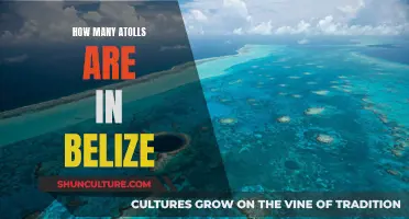 The Atolls of Belize: A Tropical Paradise Unveiled