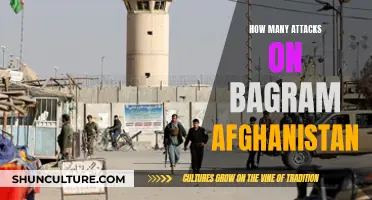 Bagram Base Under Siege: A History of Attacks and Resilience