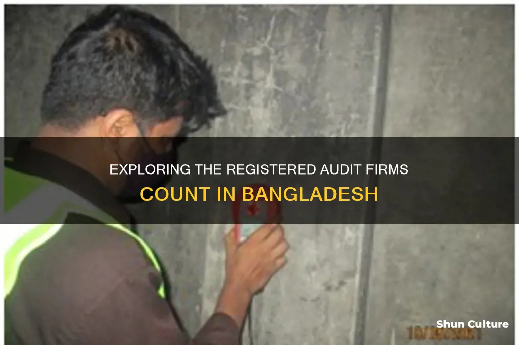 how many audit firms are registered in bangladesh