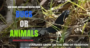 Deadly Australia: Animal and Insect Fatalities