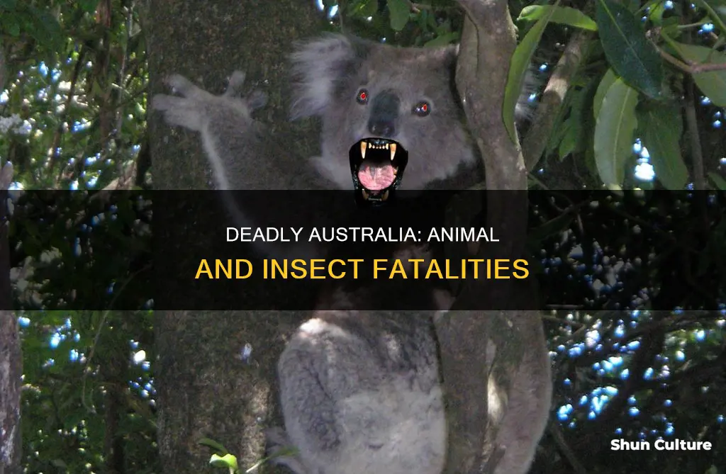 how many australian deaths from bugs or animals