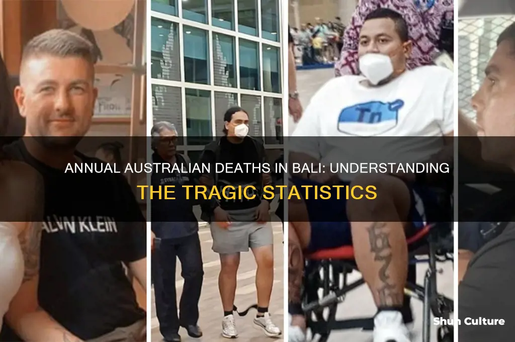 how many australian died in bali every year