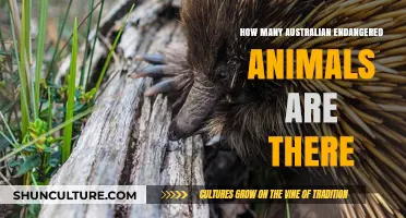 Protecting Australia's Critically Endangered Wildlife